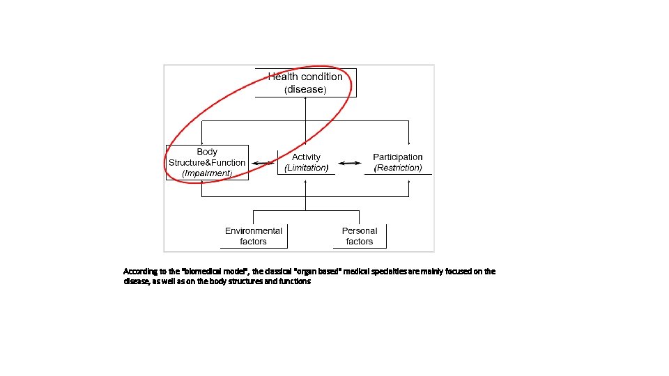 According to the "biomedical model", the classical "organ based" medical specialties are mainly focused