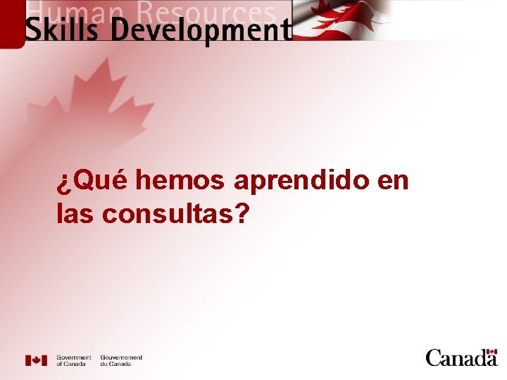 ¿Qué hemos aprendido en las consultas? 