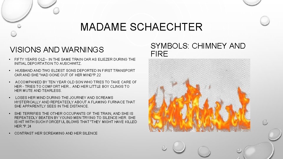 MADAME SCHAECHTER VISIONS AND WARNINGS • FIFTY YEARS OLD - IN THE SAME TRAIN