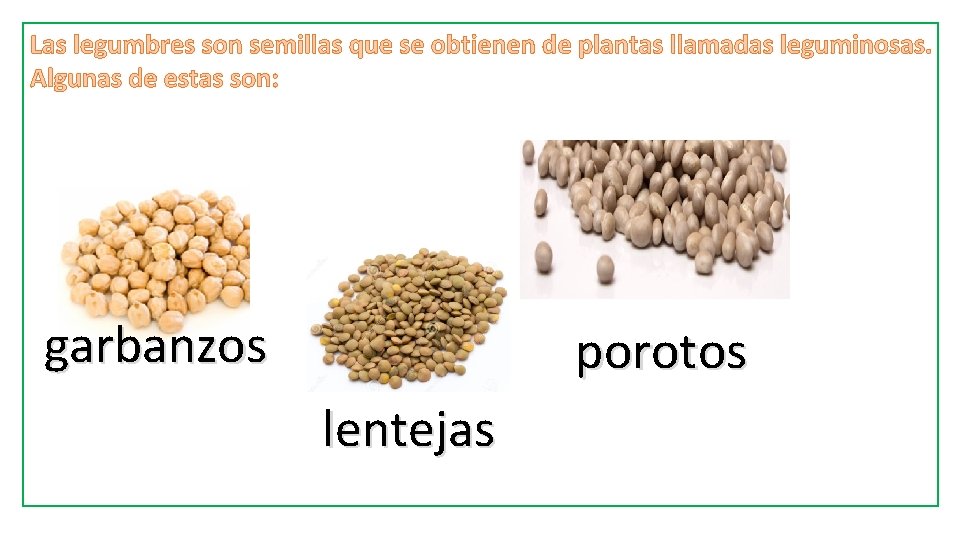 Las legumbres son semillas que se obtienen de plantas llamadas leguminosas. Algunas de estas