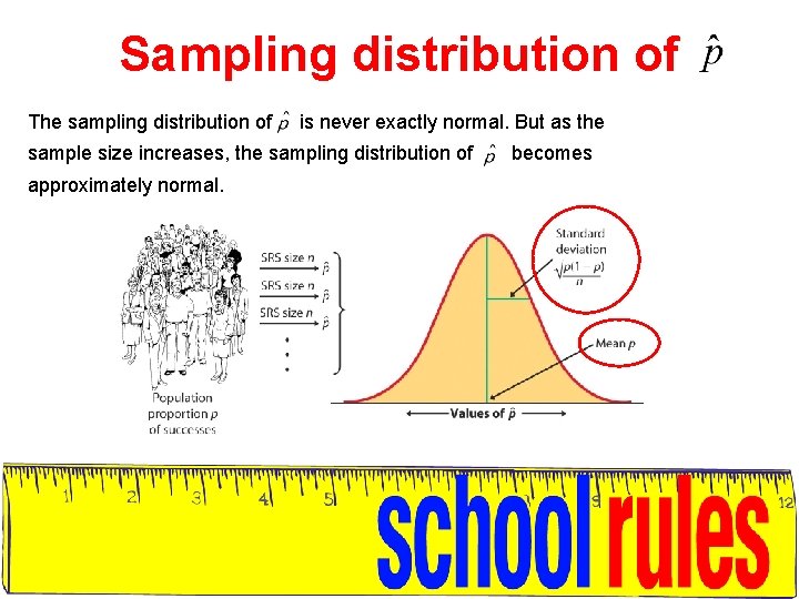 Sampling distribution of The sampling distribution of is never exactly normal. But as the