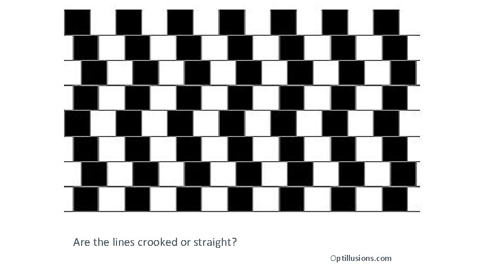 Are the lines crooked or straight? Optillusions. com 