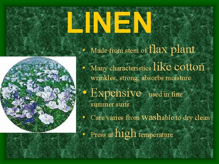 LINEN • Made from stem of flax plant • Many characteristics wrinkles, strong, absorbs