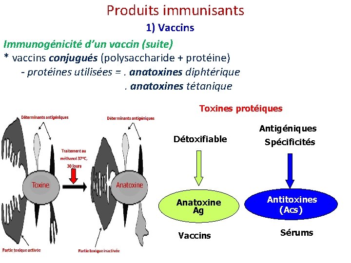 Produits immunisants 1) Vaccins Immunogénicité d’un vaccin (suite) * vaccins conjugués (polysaccharide + protéine)