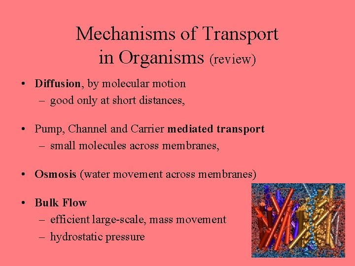 Mechanisms of Transport in Organisms (review) • Diffusion, by molecular motion – good only