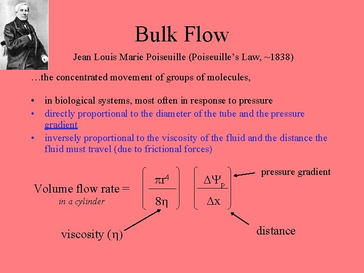 Bulk Flow Jean Louis Marie Poiseuille (Poiseuille’s Law, ~1838) …the concentrated movement of groups