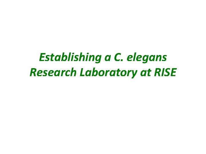 Establishing a C. elegans Research Laboratory at RISE 