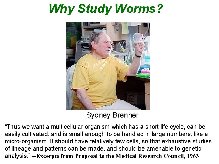 Why Study Worms? Sydney Brenner “Thus we want a multicellular organism which has a