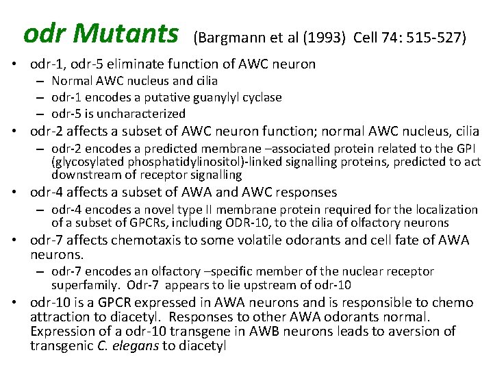 odr Mutants (Bargmann et al (1993) Cell 74: 515 -527) • odr-1, odr-5 eliminate