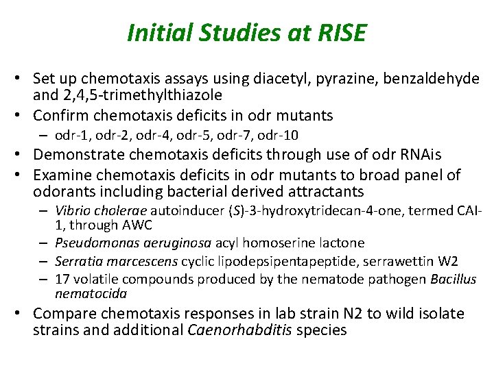 Initial Studies at RISE • Set up chemotaxis assays using diacetyl, pyrazine, benzaldehyde and