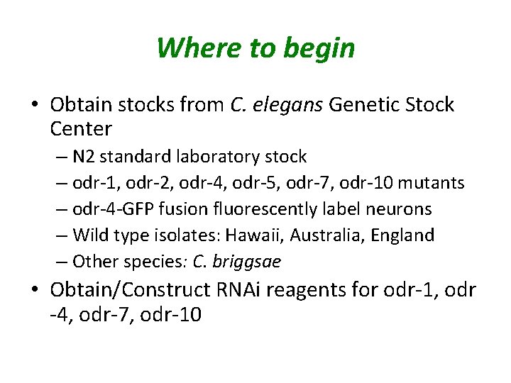 Where to begin • Obtain stocks from C. elegans Genetic Stock Center – N