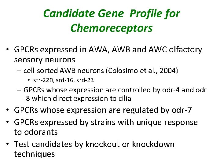 Candidate Gene Profile for Chemoreceptors • GPCRs expressed in AWA, AWB and AWC olfactory