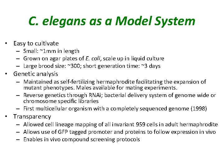 C. elegans as a Model System • Easy to cultivate – Small: ~1 mm