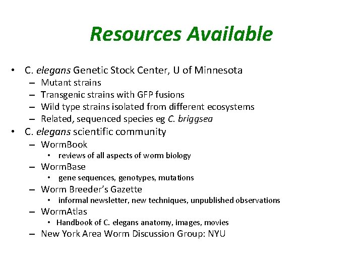 Resources Available • C. elegans Genetic Stock Center, U of Minnesota – – Mutant