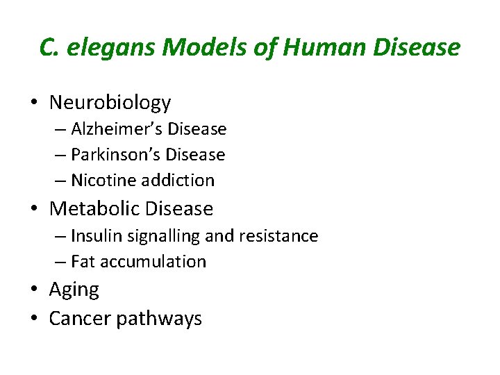 C. elegans Models of Human Disease • Neurobiology – Alzheimer’s Disease – Parkinson’s Disease