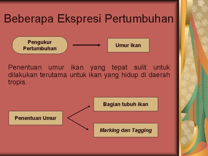 Beberapa Ekspresi Pertumbuhan Pengukur Pertumbuhan Umur Ikan Penentuan umur ikan yang tepat sulit untuk