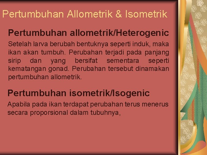 Pertumbuhan Allometrik & Isometrik Pertumbuhan allometrik/Heterogenic Setelah larva berubah bentuknya seperti induk, maka ikan