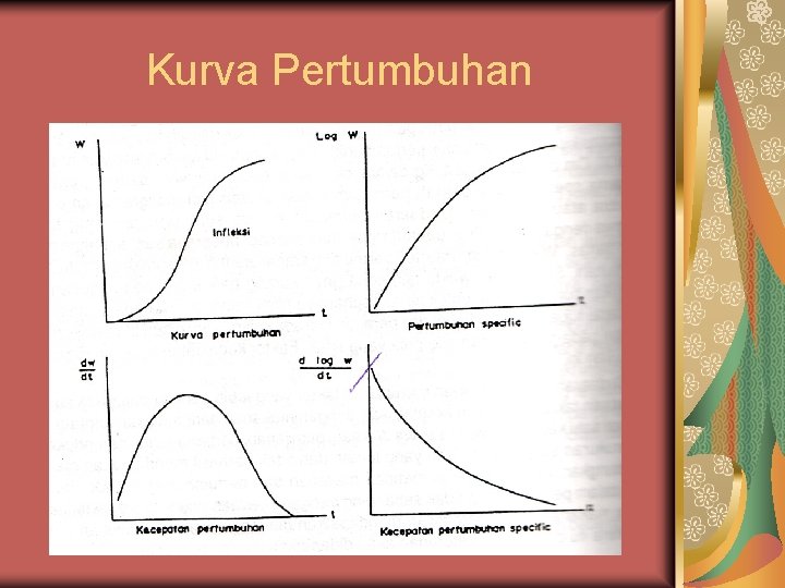 Kurva Pertumbuhan 