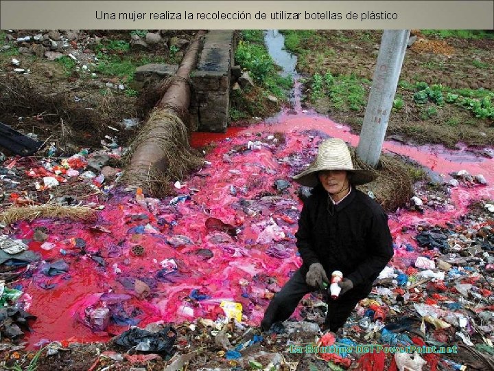 Una mujer realiza la recolección de utilizar botellas de plástico La Boutique Del Power.