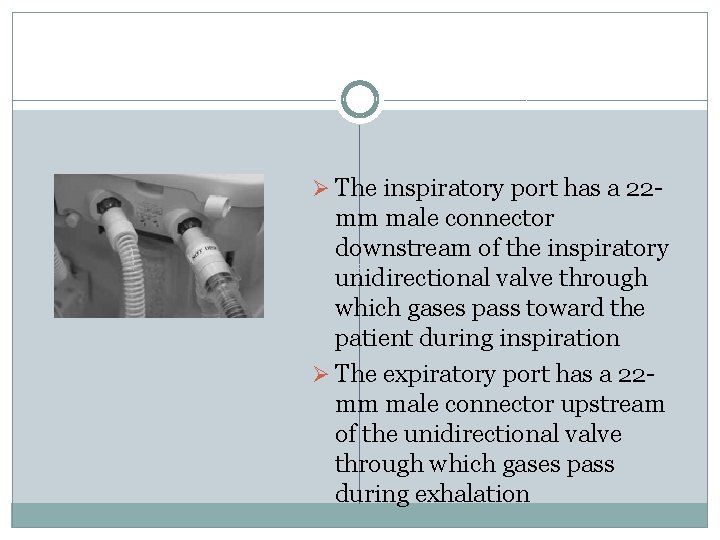 Ø The inspiratory port has a 22 - mm male connector downstream of the