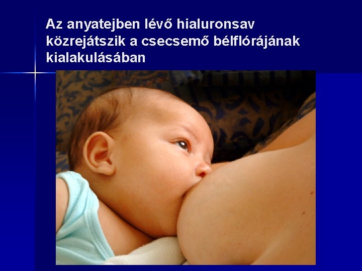 Az anyatejben lévő hialuronsav közrejátszik a csecsemő bélflórájának kialakulásában 