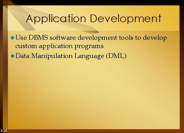 Application Development l Use DBMS software development tools to develop custom application programs l