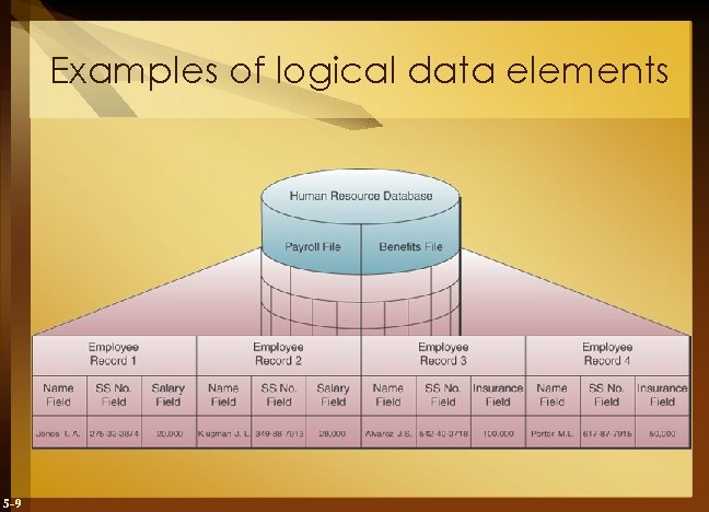 Examples of logical data elements 5 -9 