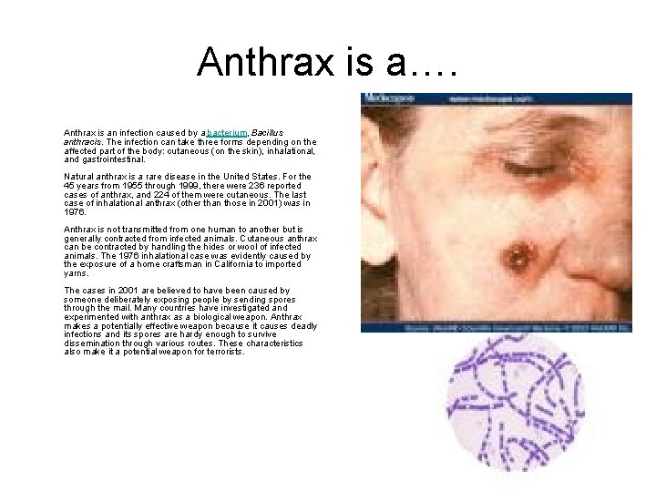 Anthrax is a…. Anthrax is an infection caused by a bacterium, Bacillus anthracis. The