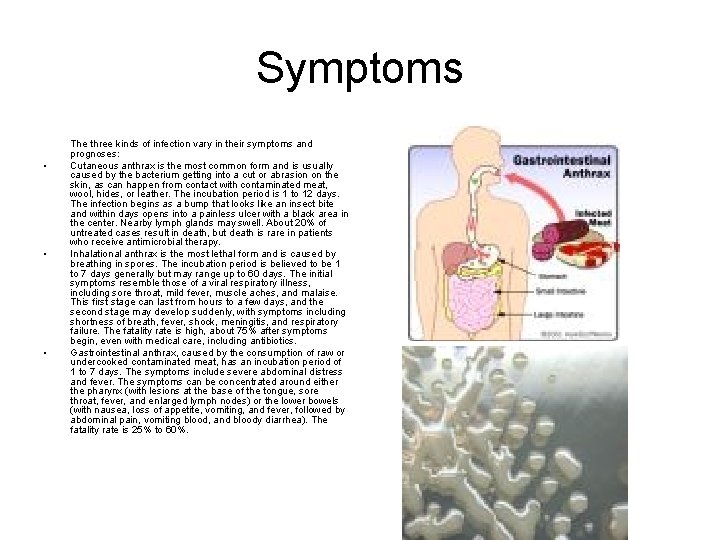 Symptoms • • • The three kinds of infection vary in their symptoms and