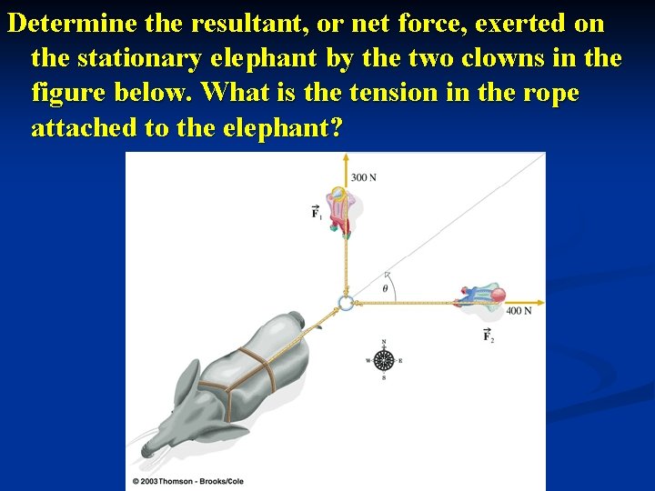 Determine the resultant, or net force, exerted on the stationary elephant by the two