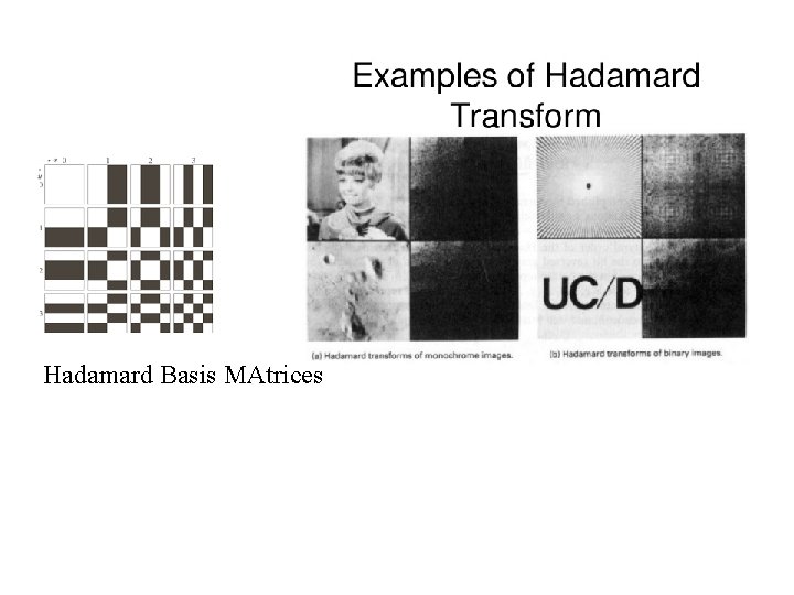 Hadamard Basis MAtrices 