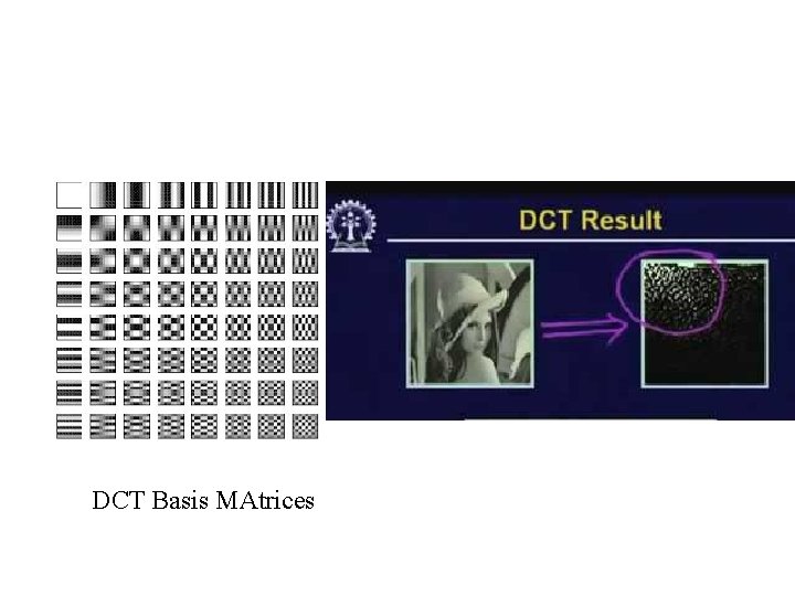 DCT Basis MAtrices 