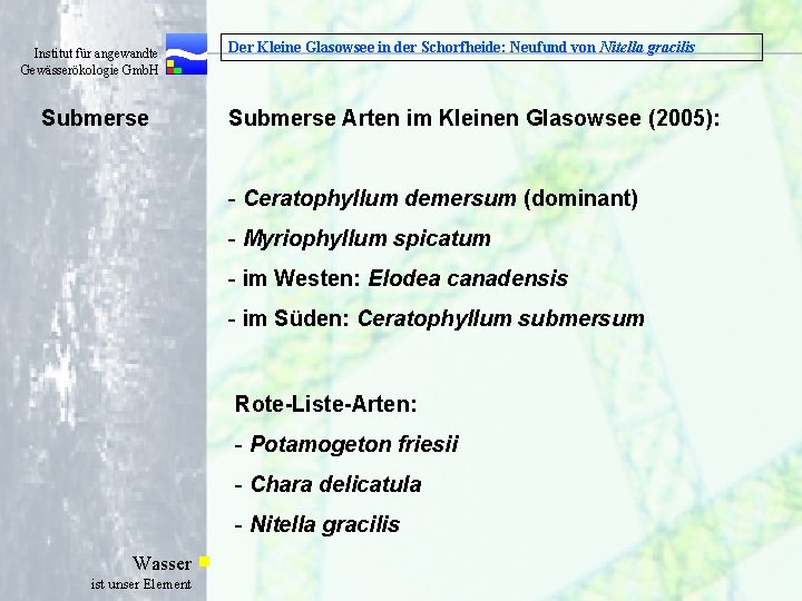  Institut für angewandte Gewässerökologie Gmb. H Submerse Der Kleine Glasowsee in der Schorfheide: