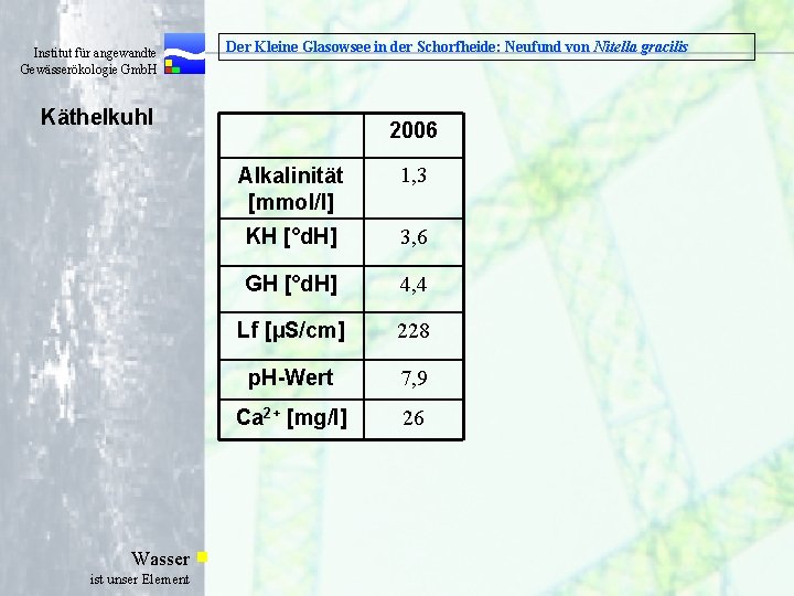  Institut für angewandte Gewässerökologie Gmb. H Der Kleine Glasowsee in der Schorfheide: Neufund