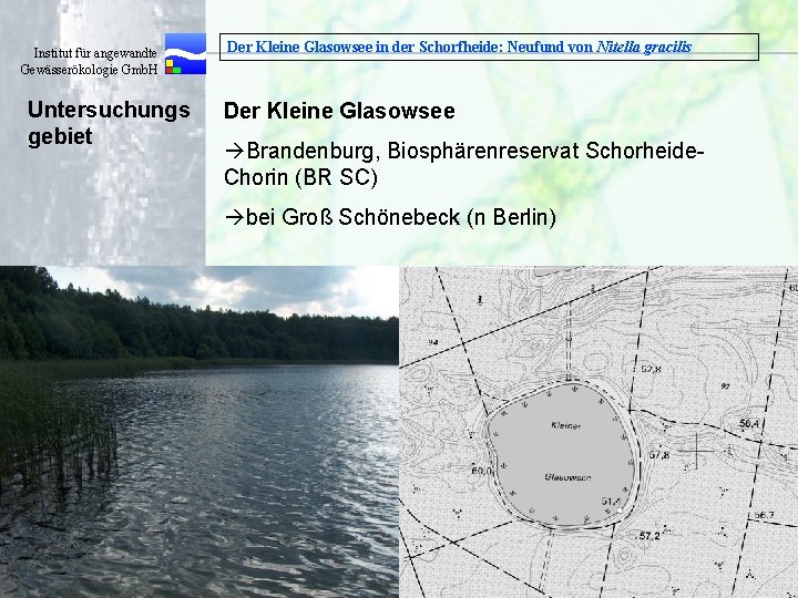 Institut für angewandte Gewässerökologie Gmb. H Untersuchungs gebiet Der Kleine Glasowsee in der Schorfheide: