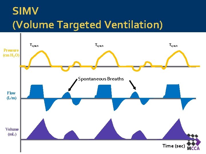 SIMV (Volume Targeted Ventilation) Tsynch Pressure (cm H 2 O) Spontaneous Breaths Flow (L/m) SIMV (Volume Targeted Ventilation) Tsynch Pressure (cm H 2 O) Spontaneous Breaths Flow (L/m)
