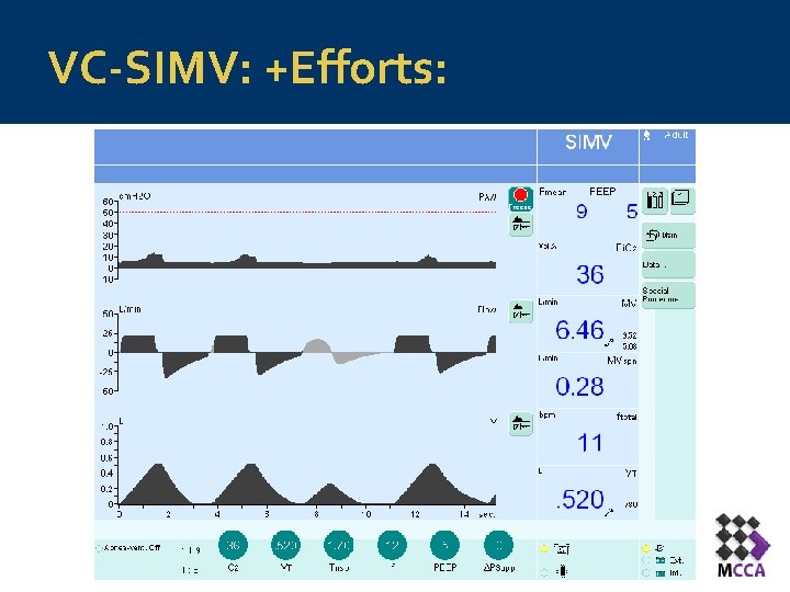 VC-SIMV: +Efforts: 