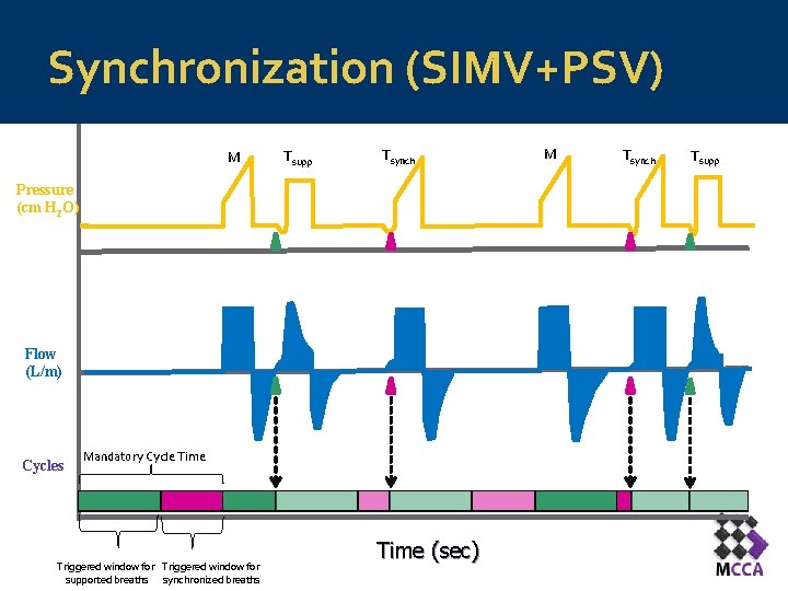 Synchronization (SIMV+PSV) M Tsupp Tsynch Pressure (cm H 2 O) Flow (L/m) Cycles Mandatory Synchronization (SIMV+PSV) M Tsupp Tsynch Pressure (cm H 2 O) Flow (L/m) Cycles Mandatory