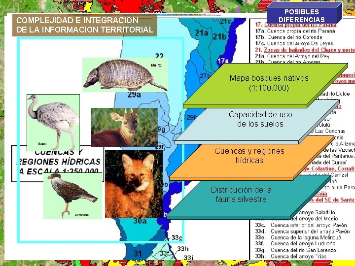 POSIBLES DIFERENCIAS COMPLEJIDAD E INTEGRACION DE LA INFORMACION TERRITORIAL Mapa bosques nativos (1: 100.