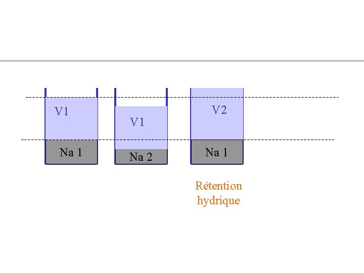 V 1 Na 1 V 1 Na 2 V 2 Na 1 Rétention hydrique