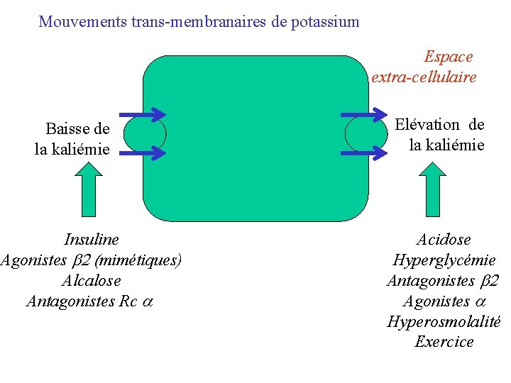 Mouvements trans-membranaires de potassium Espace extra-cellulaire Baisse de la kaliémie Insuline Agonistes b 2