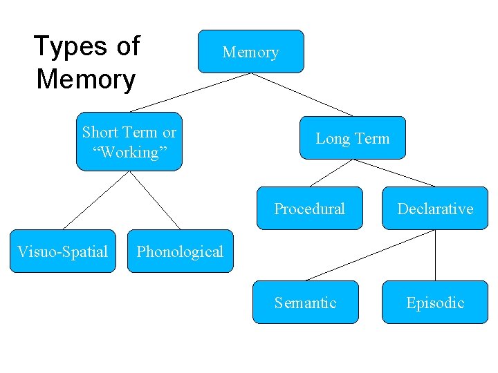 Types of Memory Short Term or “Working” Visuo-Spatial Long Term Procedural Declarative Semantic Episodic