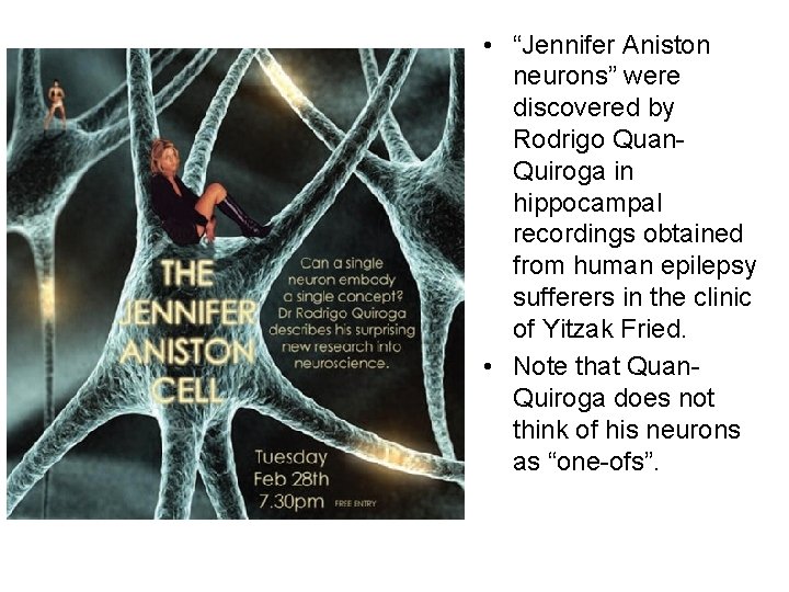  • “Jennifer Aniston neurons” were discovered by Rodrigo Quan. Quiroga in hippocampal recordings