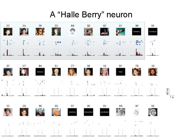 A “Halle Berry” neuron 