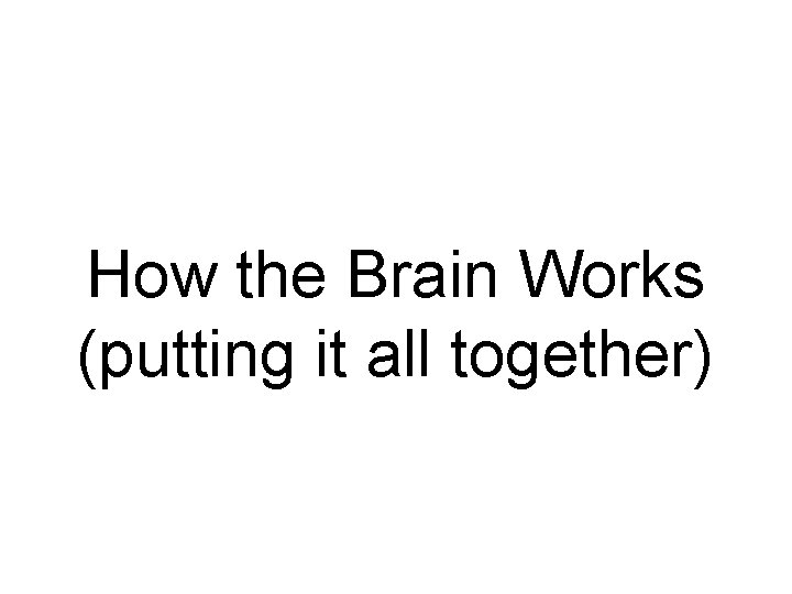 How the Brain Works (putting it all together) 