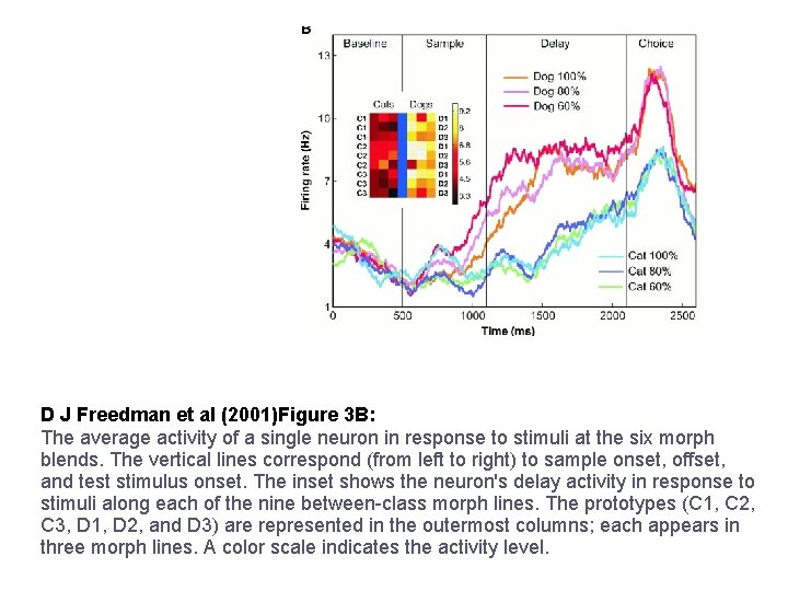 D J Freedman et al (2001)Figure 3 B: The average activity of a single