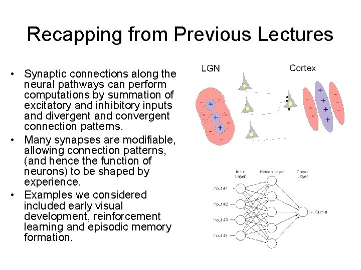 Recapping from Previous Lectures • Synaptic connections along the neural pathways can perform computations