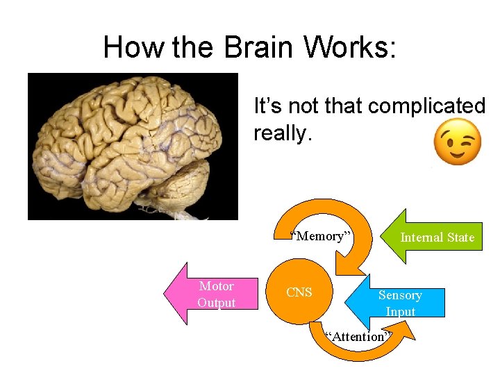 How the Brain Works: It’s not that complicated really. “Memory” Motor Output CNS Internal