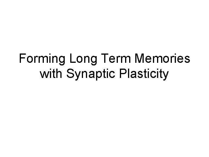 Forming Long Term Memories with Synaptic Plasticity 