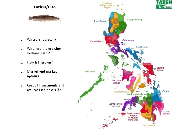 Catfish/Hito a. Where is it grown? b. What are the growing systems used? c.
